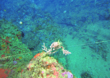 indolencia-opinion-septem-nostra-005