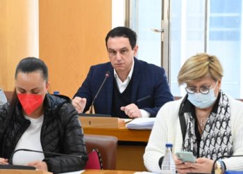 manuel-hernandez-psoe-pleno-003