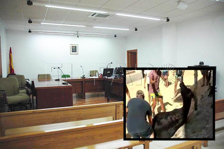 montaje-penal-juicio-matanza-vaca