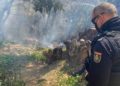 policia-nacional-incendio-monte-martinez-catena-002