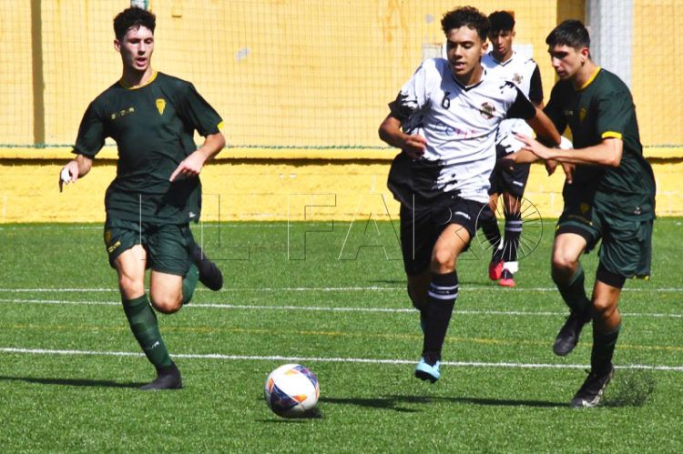 raul-alcazar-polillas-permanencia-006