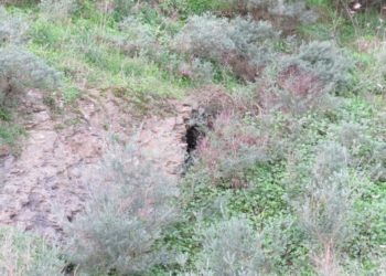 visita-tumba-sidi-boudras-jose-manuel-perez-rivera-003