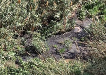 aguas-fecales-avenida-lisboa