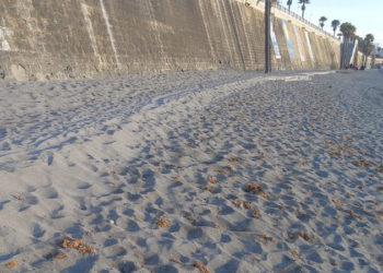 operarios-plan-empleo-playa-chorrillo-cuna-legion-05