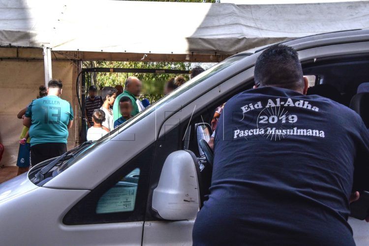 pascua-musulmana-cordero