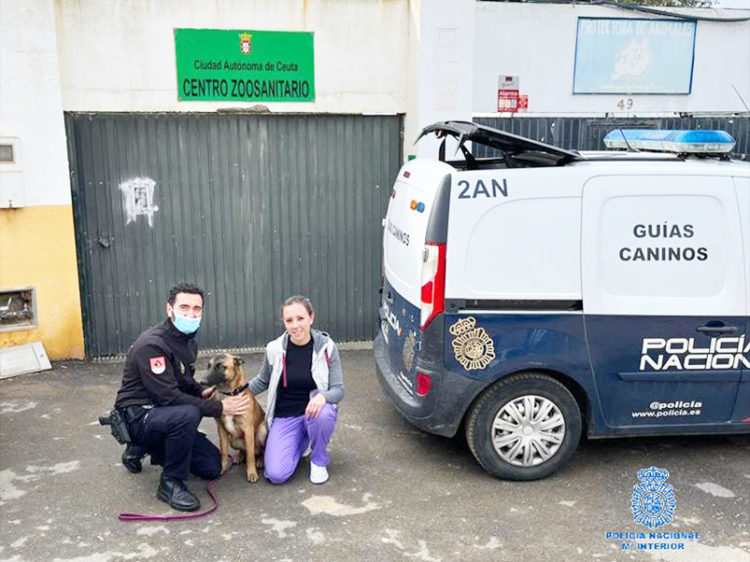 policia-nacional-adopcion-perro-brull-1