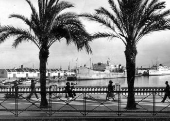 respuesta muelle españa 1