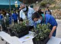 scouts-ceuta-reforestacion-calamocarro-035