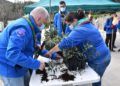 scouts-ceuta-reforestacion-calamocarro-037