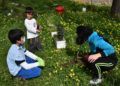 scouts-ceuta-reforestacion-calamocarro-041