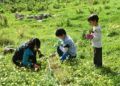 scouts-ceuta-reforestacion-calamocarro-044