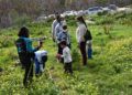 scouts-ceuta-reforestacion-calamocarro-045