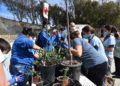 scouts-ceuta-reforestacion-calamocarro-046