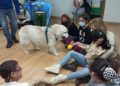 terapia-perros-colegio-san-antonio-008