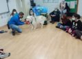 terapia-perros-colegio-san-antonio-010