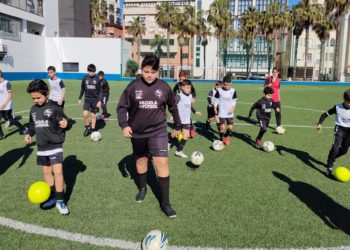 federación fútbol base