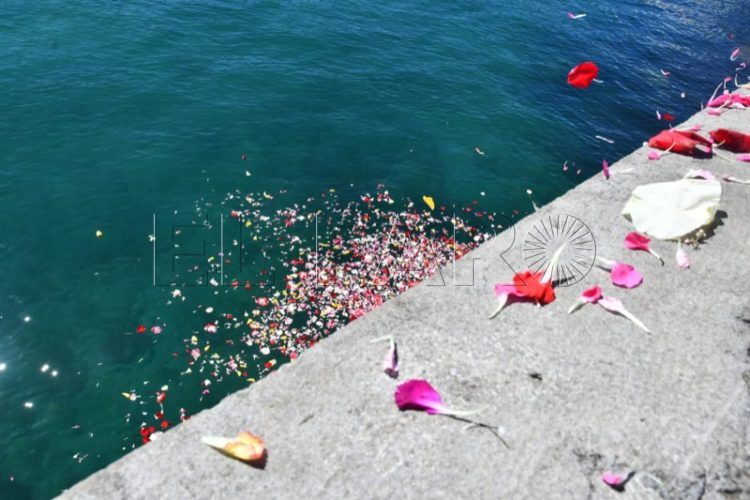 flores-mar