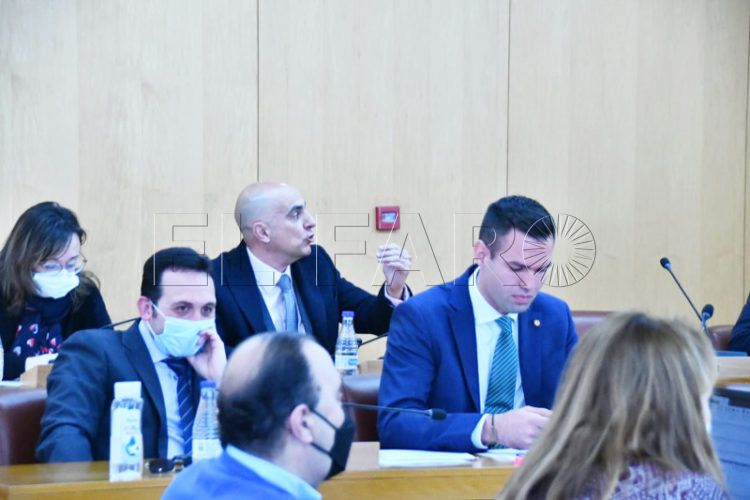 francisco-ruiz-verdejo-mascarilla-pleno-001