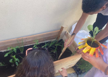 huertos comunitarios (7)