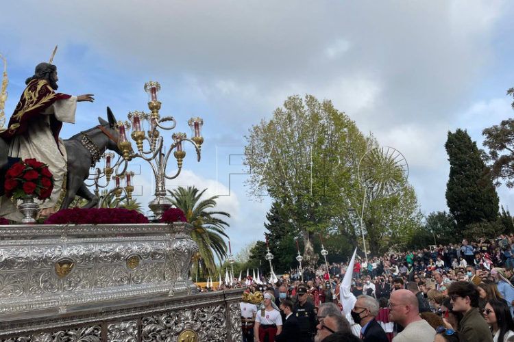 pollinica-domingo-ramos-semana-santa-2022-018
