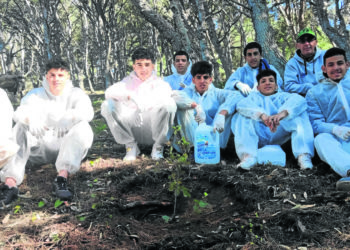 sustituir-basura-arboles9