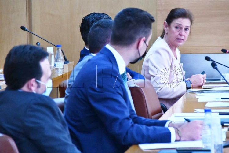 verdejo-mabel-deu-pleno-002