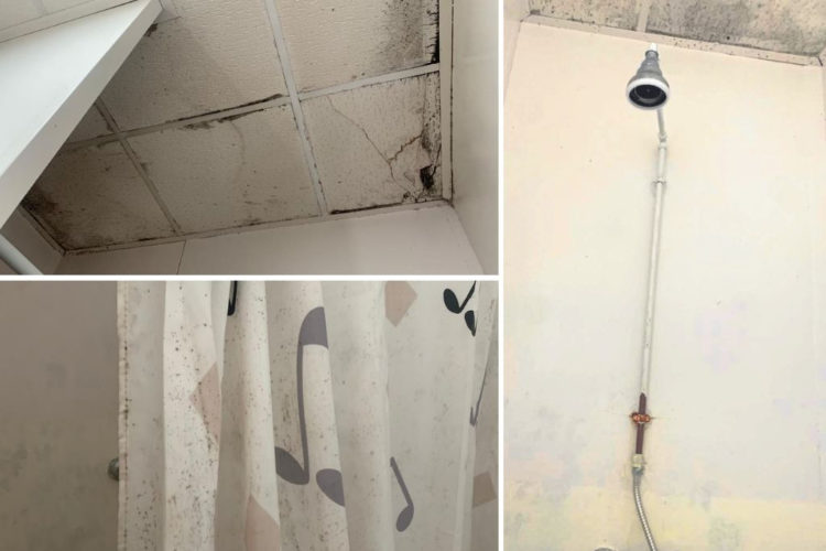 baños-puerto-deportivo