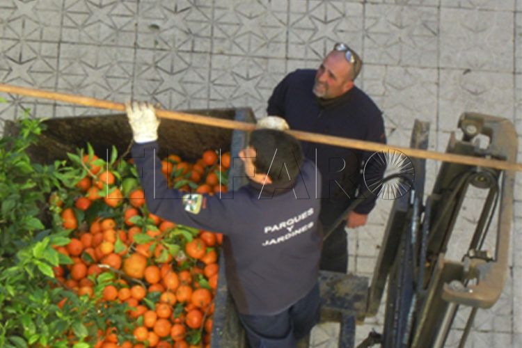 fallece-trompi-jefe-parques-jardines