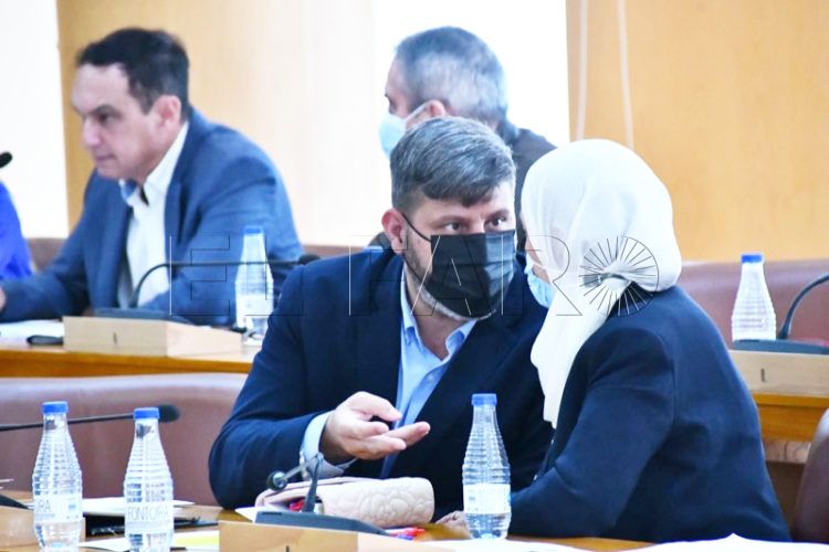 fatima-hamed-mohamed-mustafa-pleno-001