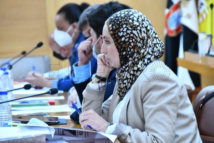 fatima-hamed-pleno-001