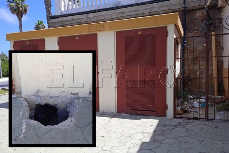 gatas-atrapadas-caseta