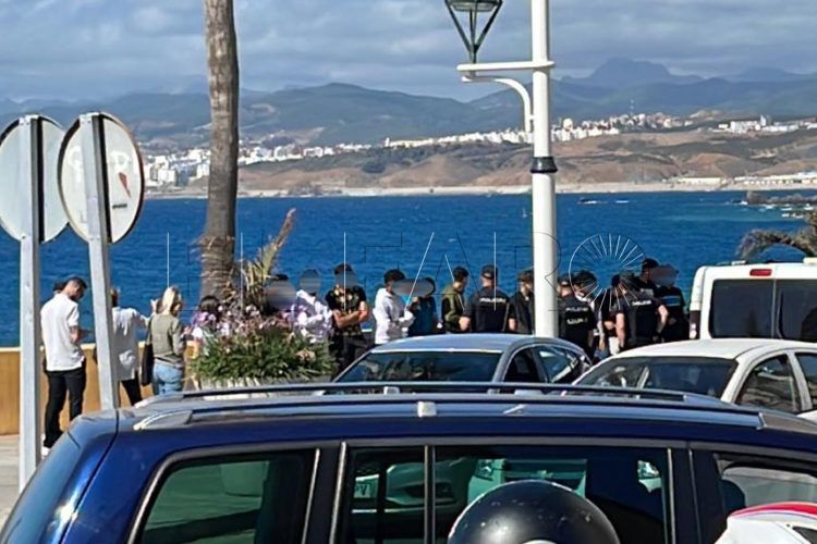 mena-piniers-menores-3