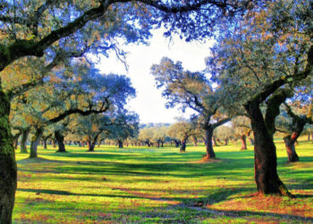 naturaleza-extremadura-001