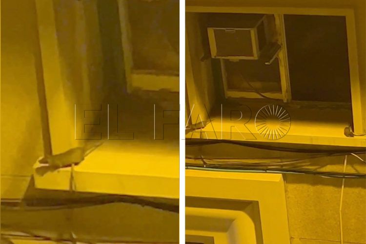 ratas-calle-fernandez