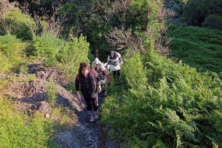 ruta-saludable-cancer-senderismo2