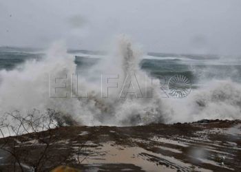 temporal-olas