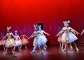 ballet-rosa-founaud-revellin-063