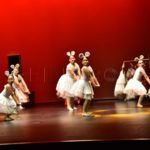 ballet-rosa-founaud-revellin-066
