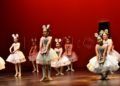 ballet-rosa-founaud-revellin-067