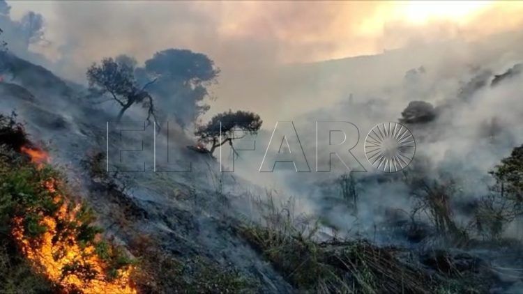 camino-ronda-incendio-001