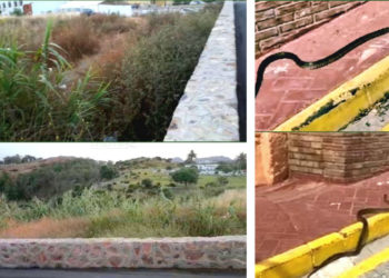 denuncia-calle-soldado-valle-almazan