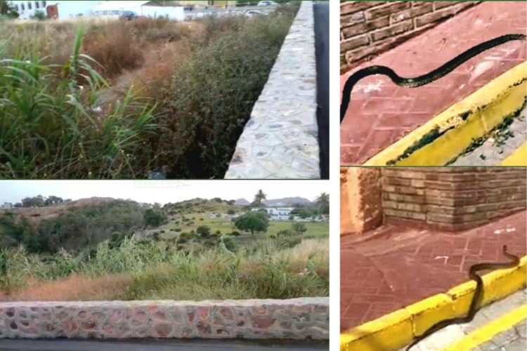 denuncia-calle-soldado-valle-almazan