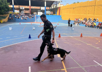 guias-caninos-instituto-abyla-008