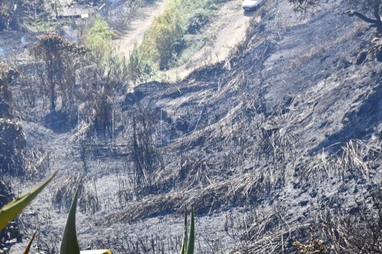 incendio-camino-ronda-afectados-011