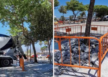 montaje-arboles-parque-marina-obras