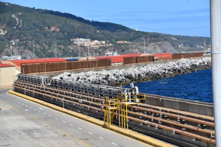 obras-grua-puerto-temporal-006