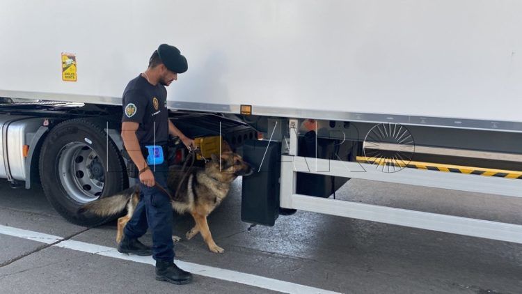 operacion-minerva-2022-005