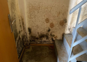 psoe-uned-campus (7)