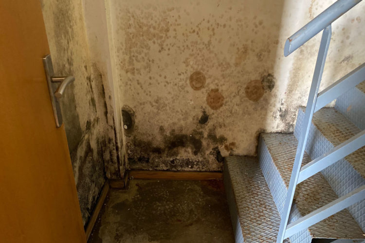 psoe-uned-campus (7)