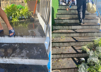 riego-jardin-vertical-peligro